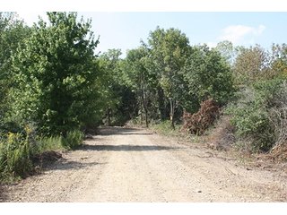 Property photo 57 - 419 +/- Acres offered in 6 Tracts, Land Auction